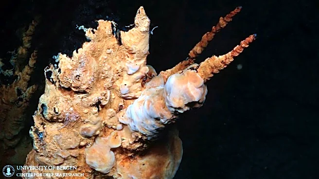 Deep-sea mining company seeks international permit under new Trump rules