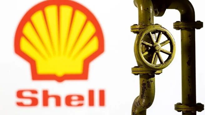 Exclusive-Shell considers exit from Argentina's Vaca Muerta shale play, sources say