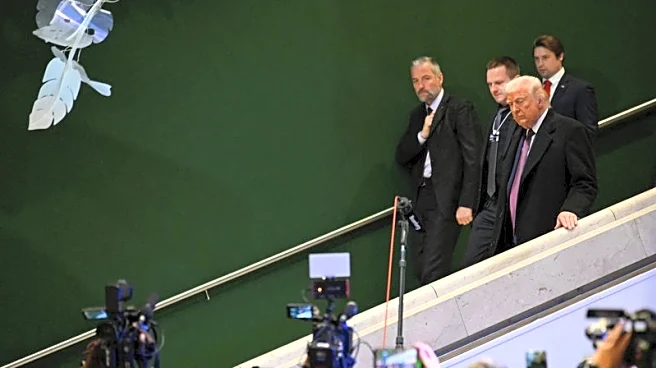 Trading Day: Viva the 'TACO' trade