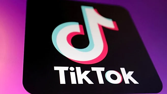 TikTok clinches deal for new US joint venture to avoid American ban