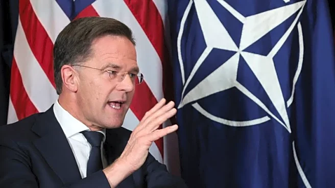 NATO's Rutte says Arctic talks with Trump to focus on keeping out Russia, China