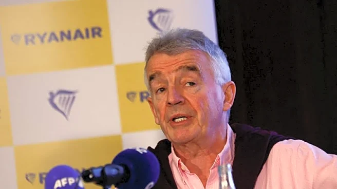 Analysis-Elon Musk's Starlink: A must-have for airlines, or a costly perk?