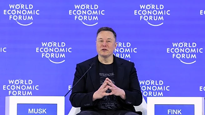 Musk's self-driving ambitions key for Tesla results