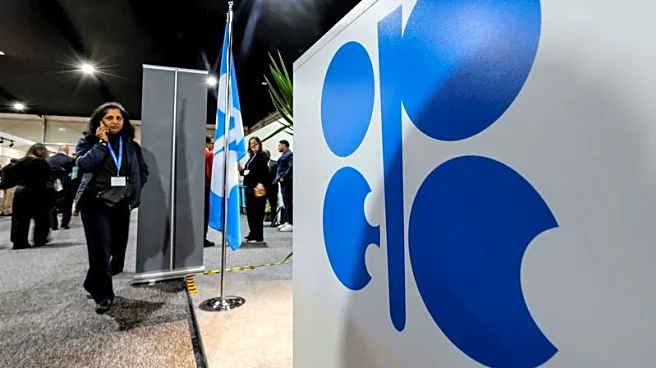 OPEC+ likely to maintain oil production pause for March as prices climb, sources say