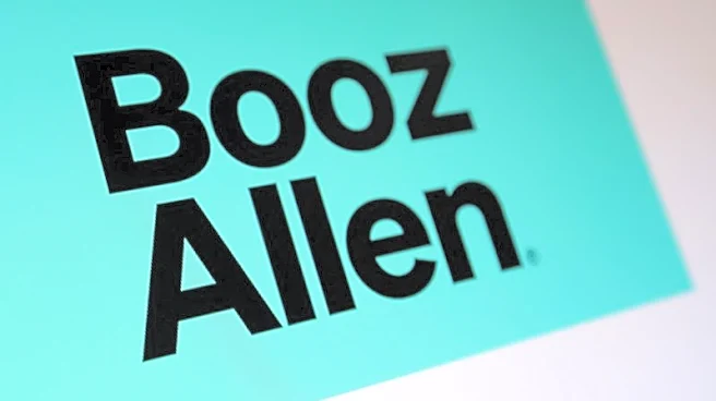 Treasury cancels all Booz Allen Hamilton contracts