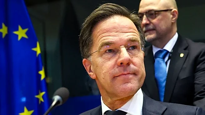 NATO boss Rutte slaps down calls for European army prompted by Trump fears