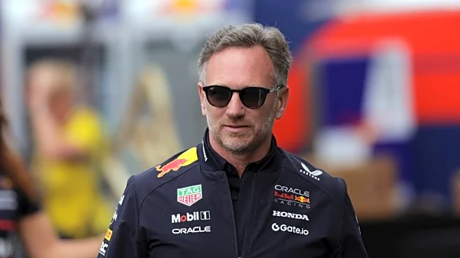 Ex-Red Bull boss Christian Horner eyeing F1 return as Alpine investor