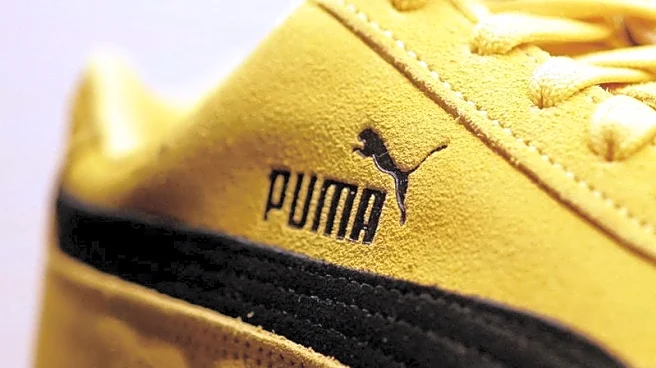 China's Anta Sports buys 29% Puma stake for $1.8 billion, rules out full takeover