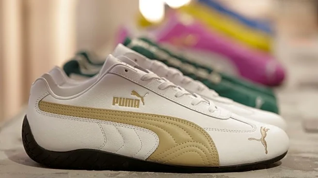China's Anta buys $1.8 billion Puma stake from Pinault family, rules out takeover
