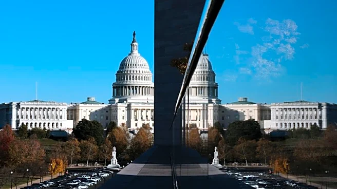 Explainer-Why would the US government shut down?