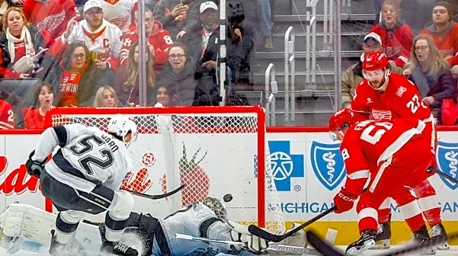 Anton Forsberg stops 27 shots as Kings end Red Wings' point streak