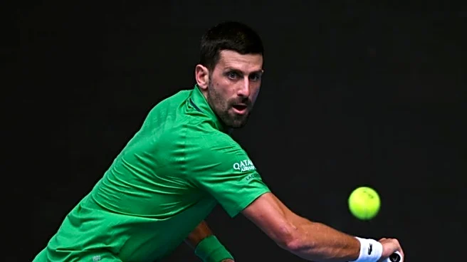 Tennis-Djokovic through to Australian Open semi-finals after Musetti injury