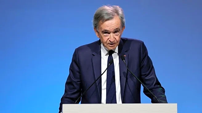 LVMH drives luxury stocks down after results disappoint