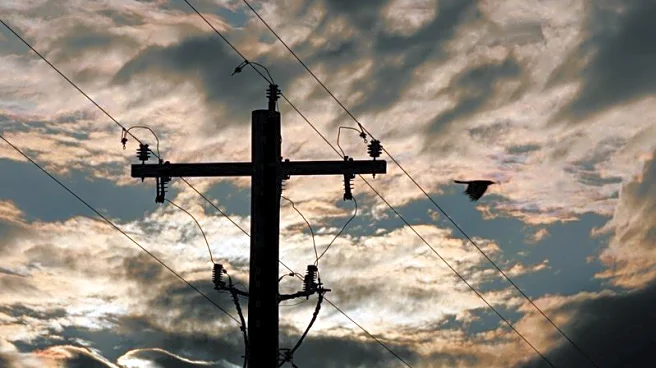 Forecast record electricity demand to test largest US power grid, blackout chances rise