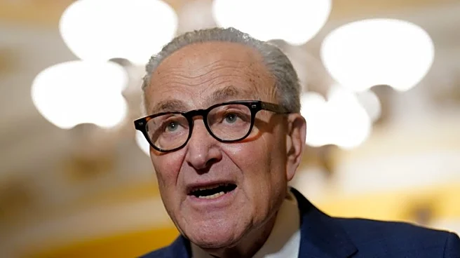 Schumer says immigration agents must lose masks, add body cameras