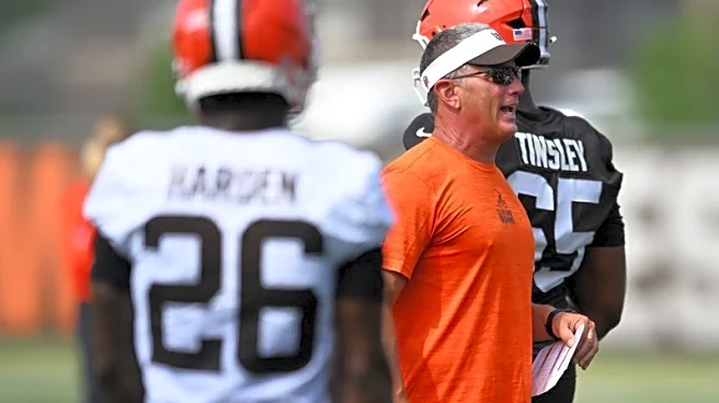 Reports: Browns DC Jim Schwartz won't return after head coach snub