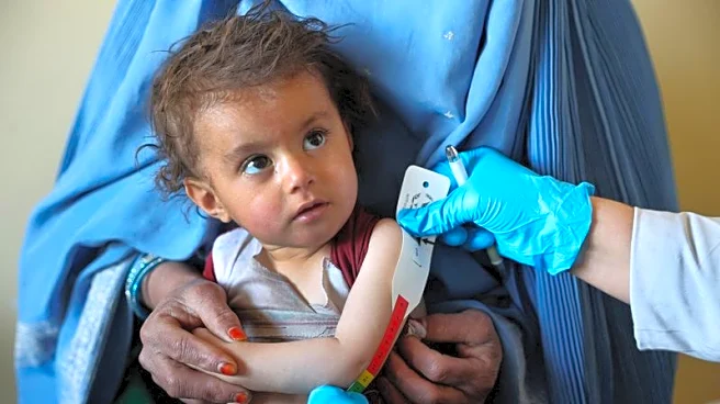 Afghanistan launches $100 million food security programme as crisis deepens