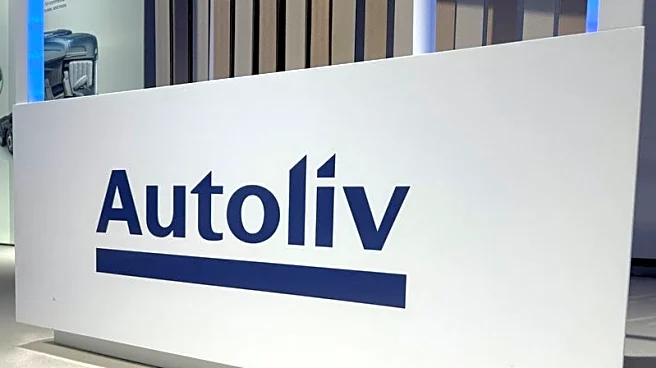 Swedish car parts supplier Autoliv sees no organic sales growth in 2026, shrinking profitability in Q1
