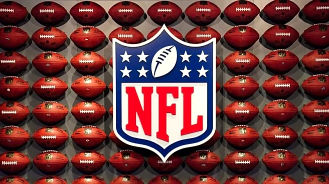 NFL-Americans expected to bet $1.76 billion on Super Bowl, AGA says