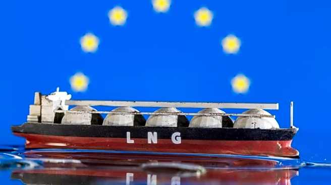 US share of Europe's LNG imports increased to 60% in January