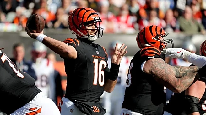 Bengals QB, 18-year vet Joe Flacco picked for first Pro Bowl