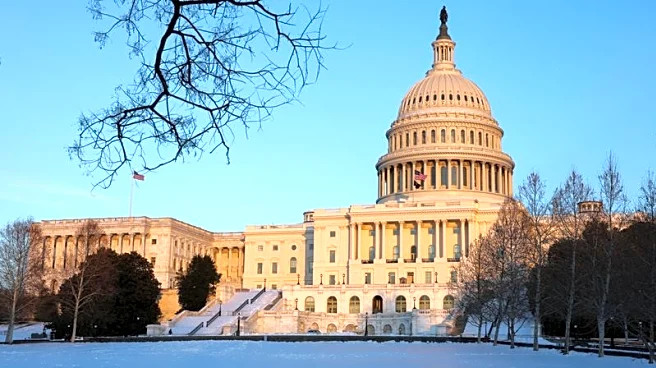 Vote count continues in special Texas election to fill vacant congressional seat