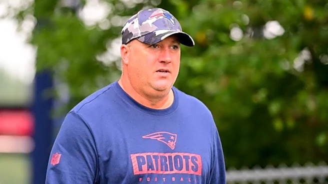 Falcons add Alex Van Pelt as QB coach