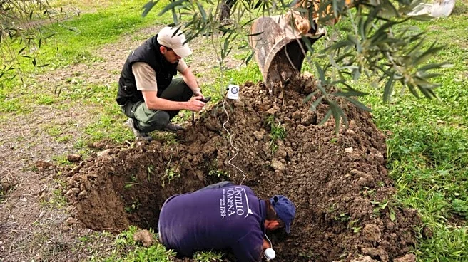 Analysis-Europe's $955 billion recovery fund struggles to transform economy