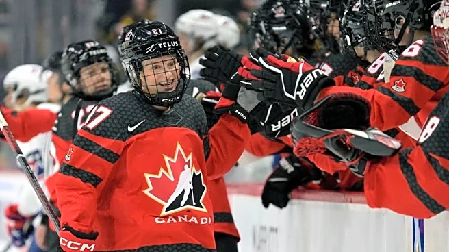 Olympics-Not 'once every four years': women's ice hockey has professional pathway