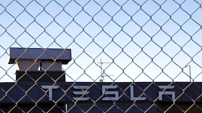 Tesla registrations in Europe show some signs of recovery in January