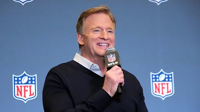 Goodell vows diversity push as NFL eyes global growth, Mexico City return