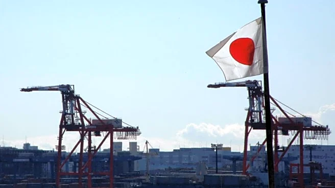 Japan's food exports hit record in 2025 on strong US demand