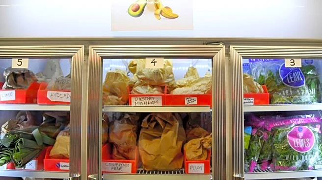 UK grocery inflation eases to nine‑month low of 4.0%, says Worldpanel