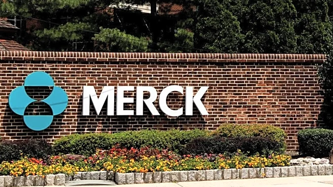Merck forecasts 2026 sales below estimates on patent losses