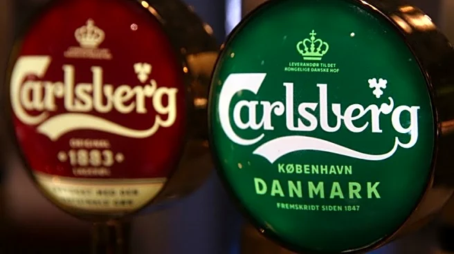 Carlsberg's annual profits beat forecasts thanks to cost cuts, Britvic deal