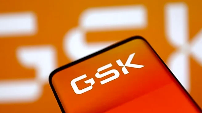 GSK expects softer 2026 sales growth as new CEO Miels prepares change in course