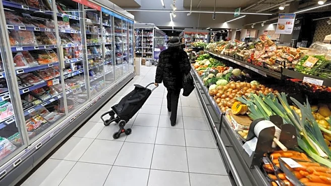 Euro zone inflation dips in January as soft patch begins