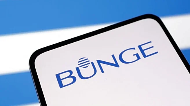 Bunge forecasts 2026 profit below estimates on macroeconomic uncertainty