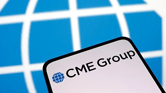 Derivatives exchange CME's profit rises as hedging demand lifts trading volume