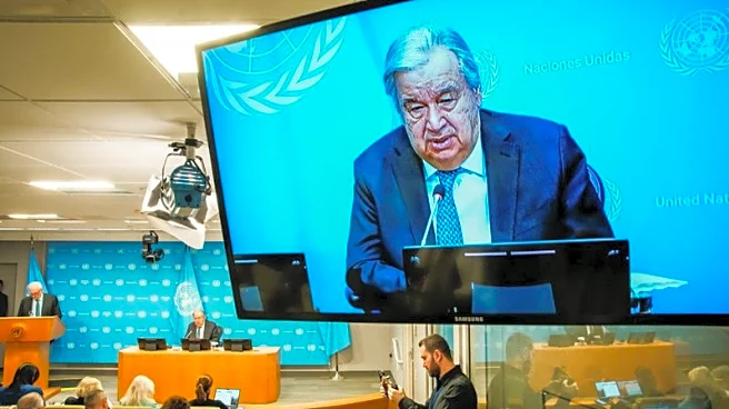 Explainer-Why is UN warning of 'imminent financial collapse'?