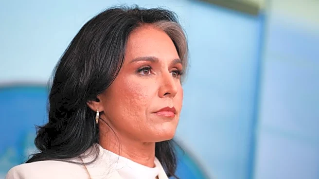 Exclusive-US spy chief's office investigated voting machines in Puerto Rico