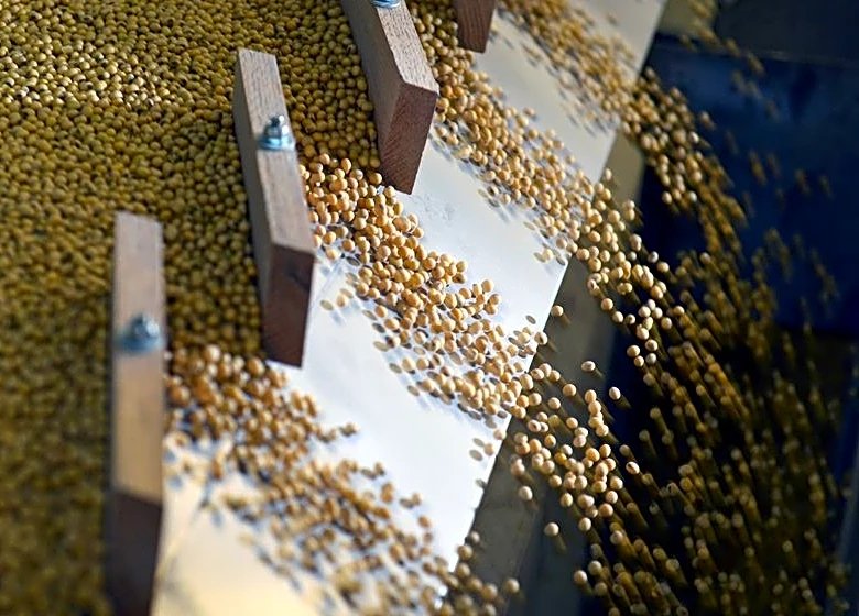 China faces higher prices for further U.S. soybean buys to please Trump