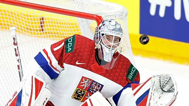 Olympic-Ice hockey-NHL stars travel to Milano Cortina as league goes on break