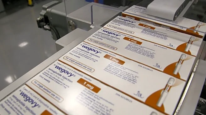 Analysis-Hims' $49 weight-loss pill rattles investor case for cash-pay obesity market