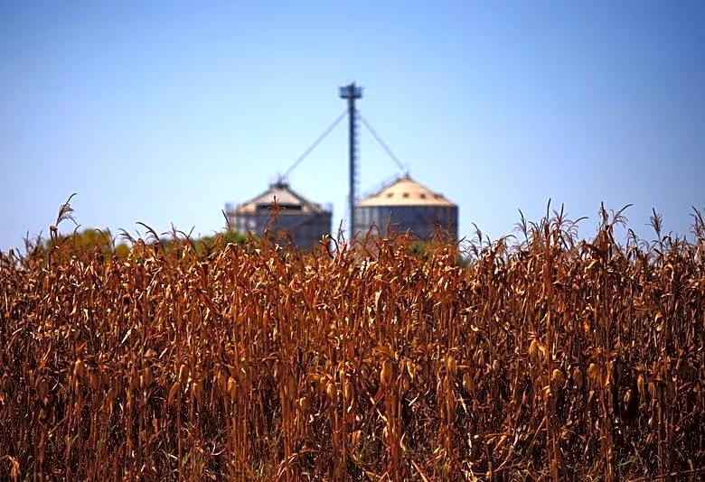 Brazil's Inpasa ramps up exports of dried distillers grains to China