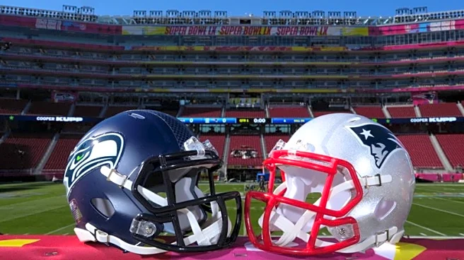 NFL-Las Vegas sportsbooks rooting for Patriots upset in Super Bowl