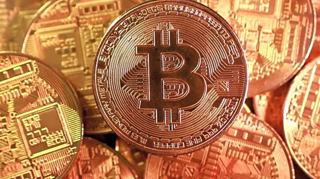 Analysis-Bitcoin loses Trump-era gains as crypto market volatility signals uncertainty