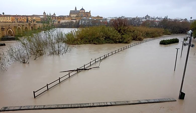 Farmers report 'catastrophic' damage to crops as Storm Marta hits Spain and Portugal