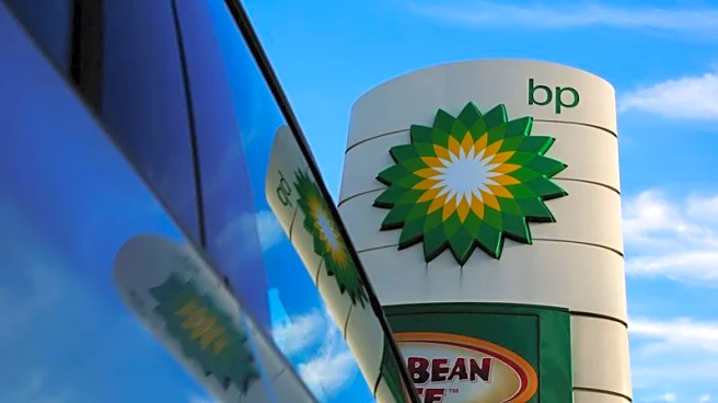 BP reports profits in line with expectations, suspends buybacks