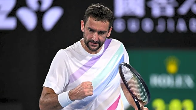 Tennis-Cilic says 600th tour-level win shows his dedication to the sport